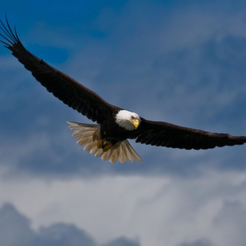 /_next/static/media/Alex.8233c997.png image